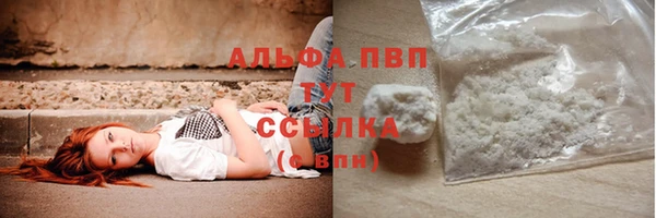 прущие крисы Киренск