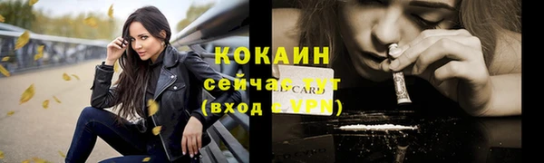 прущие крисы Киренск