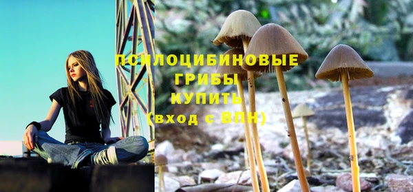 прущие крисы Киренск