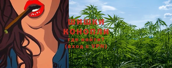 прущие крисы Киренск