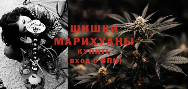 ПСИЛОЦИБИНОВЫЕ ГРИБЫ Киреевск