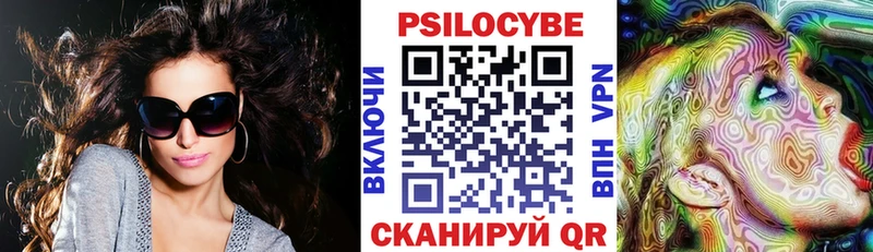 Купить Киселёвск Псилоцибиновые грибы GOLDEN TEACHER